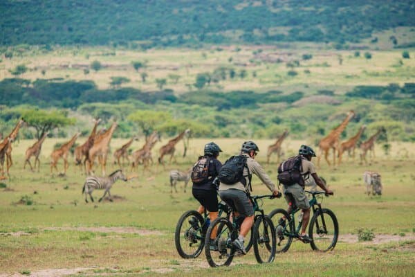 Cycling Safaris