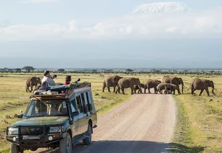 Elephants crossing road with Mount Kilimanjaro backdrop and safari vehicle in Amboseli