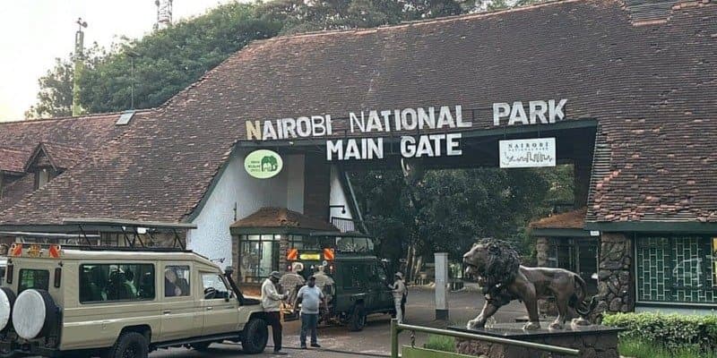 Professional safari guide with tourists on a Nairobi National Park game drive