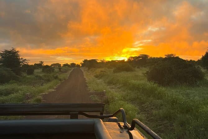 Golden hour sunset game drive on safari in Kenya — silhouetted acacia trees