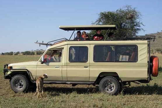 Pop-up roof Toyota Land Cruiser for Kenya safari
