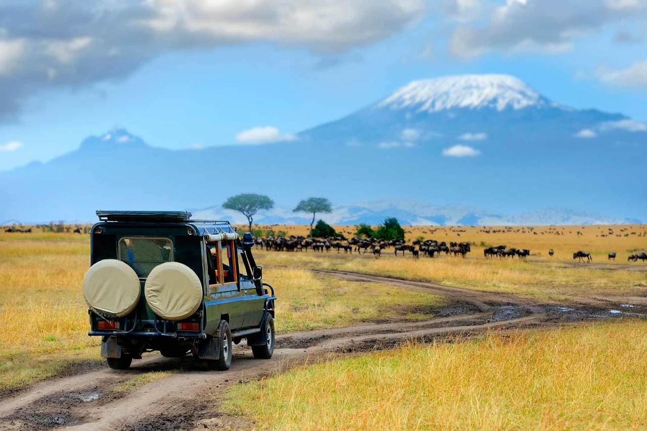 Safari game drive through Amboseli National Park with elephants and Mount Kilimanjaro