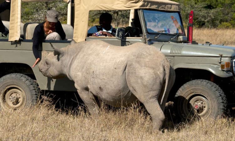 1-Day Shimba Hills Safari from Diani | Rainforest