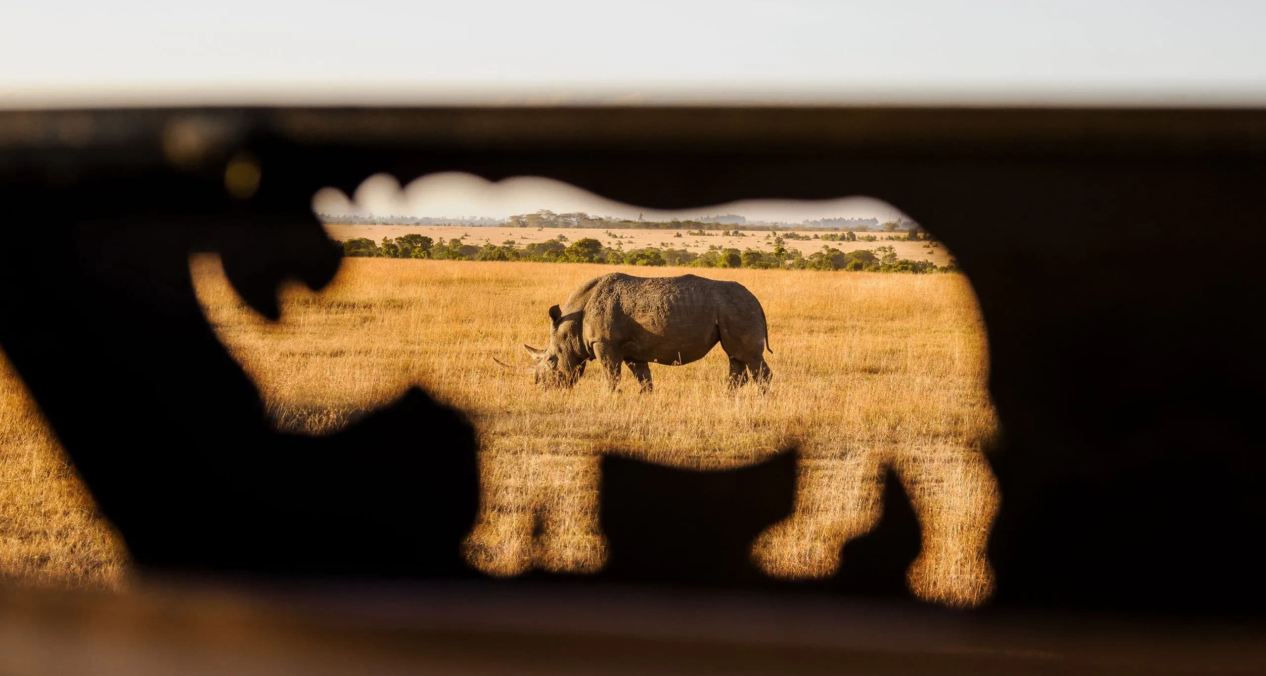 3-Day Ol Pejeta Rhino Safari to Diani Beach | Big Five & Endangered Rhinos Bush-to-Beach Combo