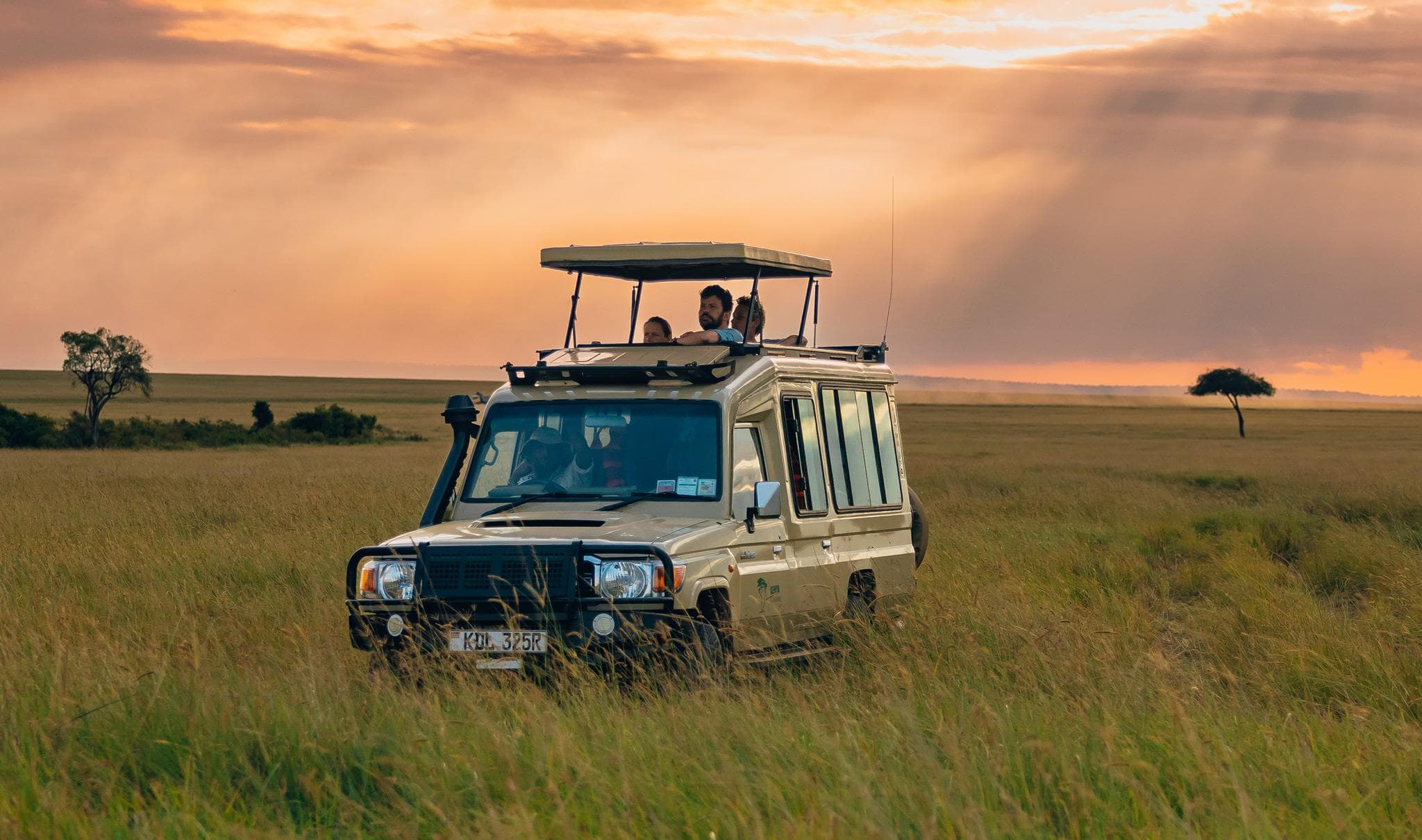 Safari vehicle on game drive through the golden savannah of Masai Mara