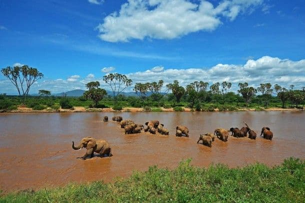 9-Day Kenya & Tanzania Safari | Best of Both Worlds