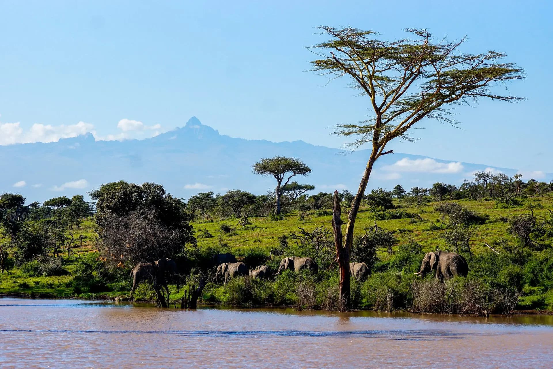 3-Day Aberdares Rainforest Safari to Diani Beach | Montane Forest & Black Rhino Bush-to-Beach Safari