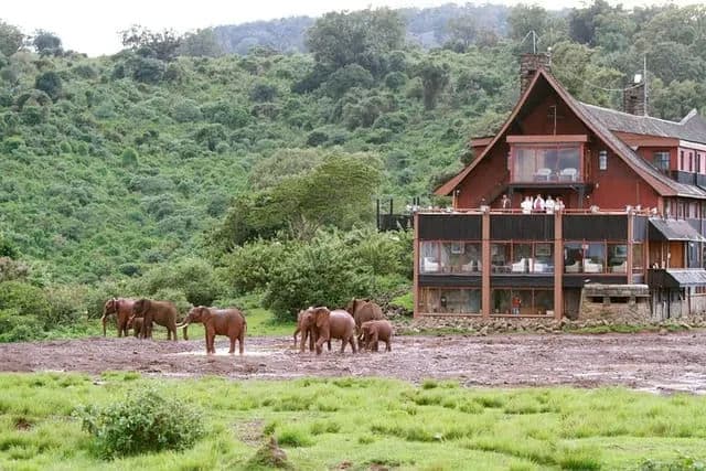 3-Day Aberdares Rainforest Safari