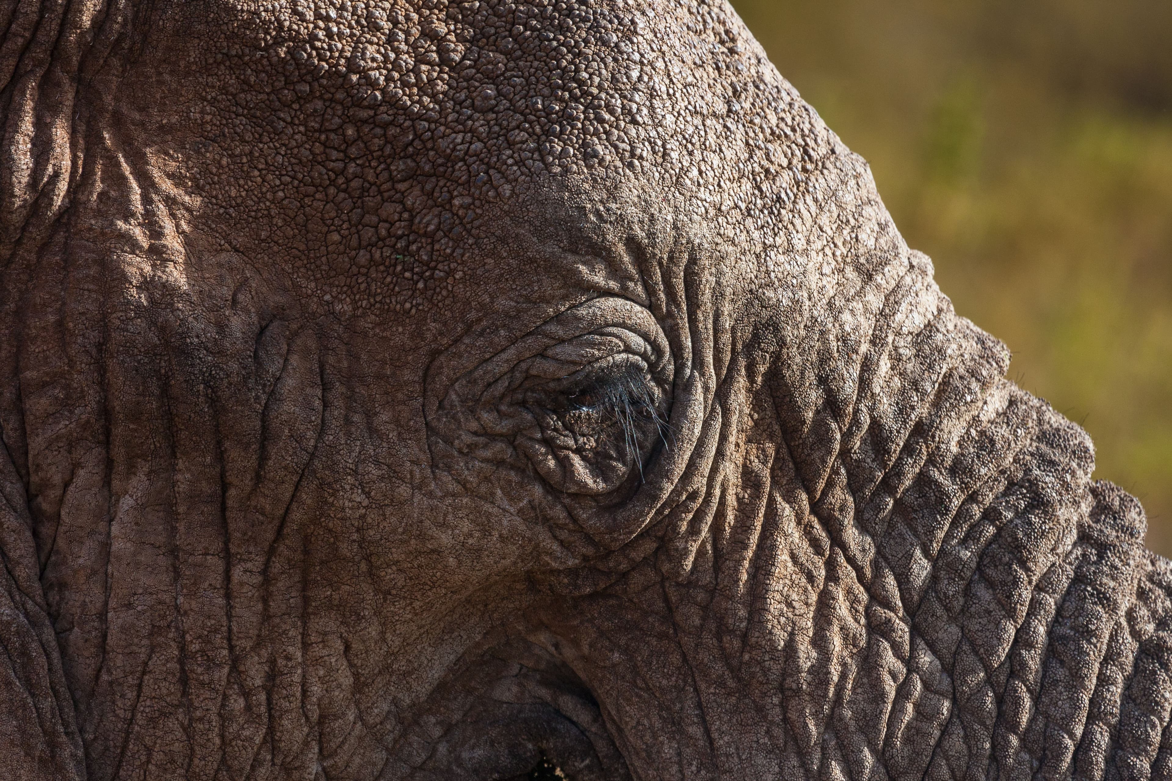 5-Day Samburu & Aberdares Safari